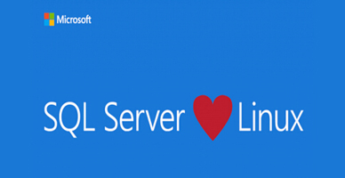 微软计划推Linux数据库 彻底颠覆前任CEO哲理